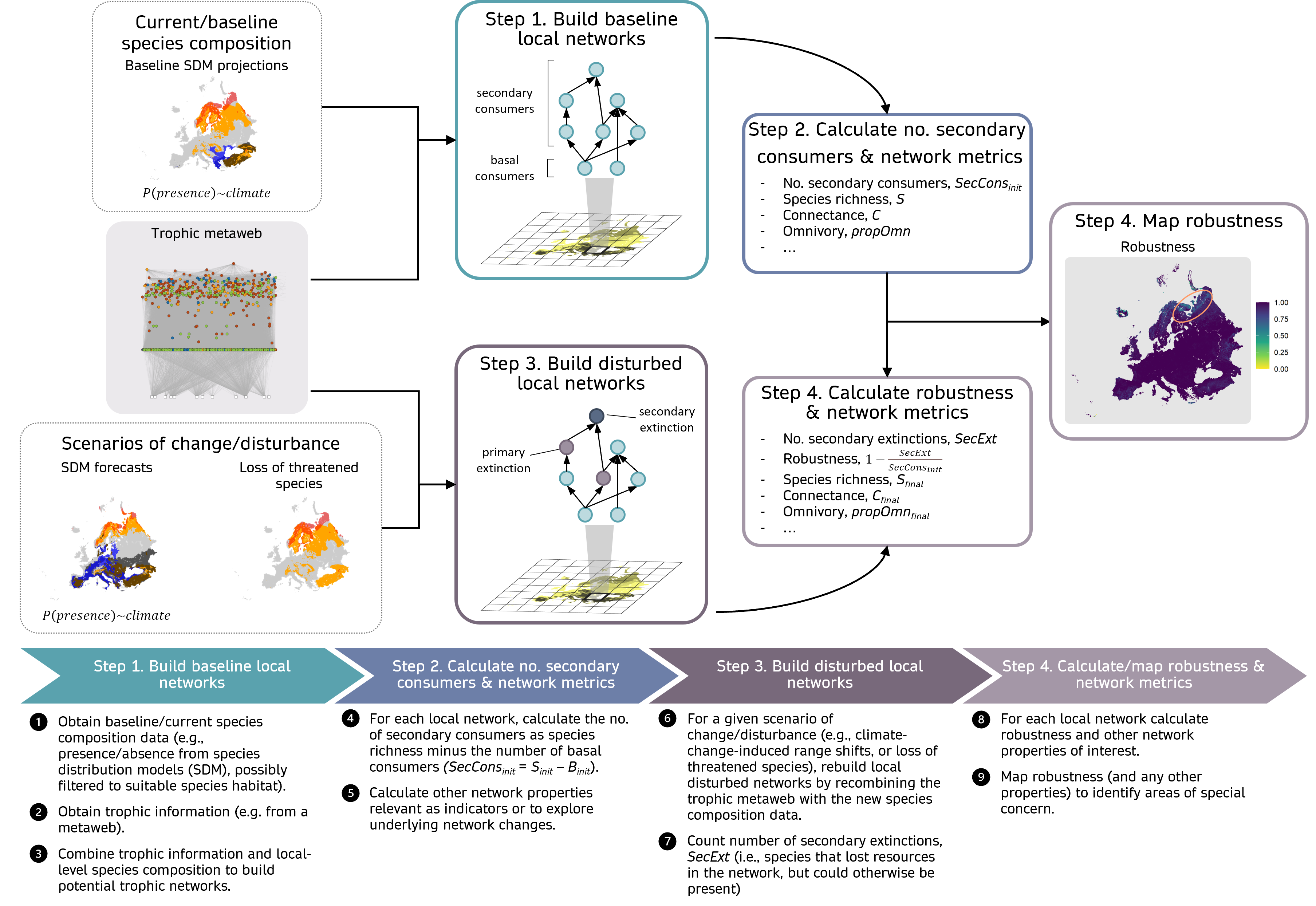 Figure 1: Workflow to calculate robustness. Simple network metrics like robustness can be incorporated into workflows to assess potential ecosystem fragility to scenarios of disturbance and inform management and decision-making at large scales. See supplemental information online for full workflow details.